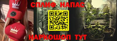 шишки Нарткала