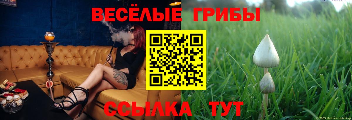 Сланцы  Псилоцибиновые грибы прущие грибы  Вход с VPN  Галлюциногенные грибы ЛСД 